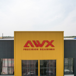 Shandong Awx Bearing  Co., Ltd. linea di produzione del fabbricante